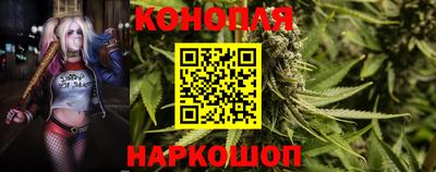 метадон Сланцы